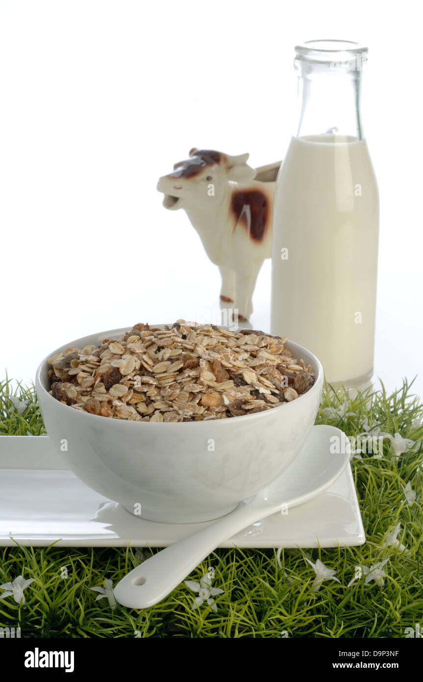 Muesli with milk Stock Photo Alamy