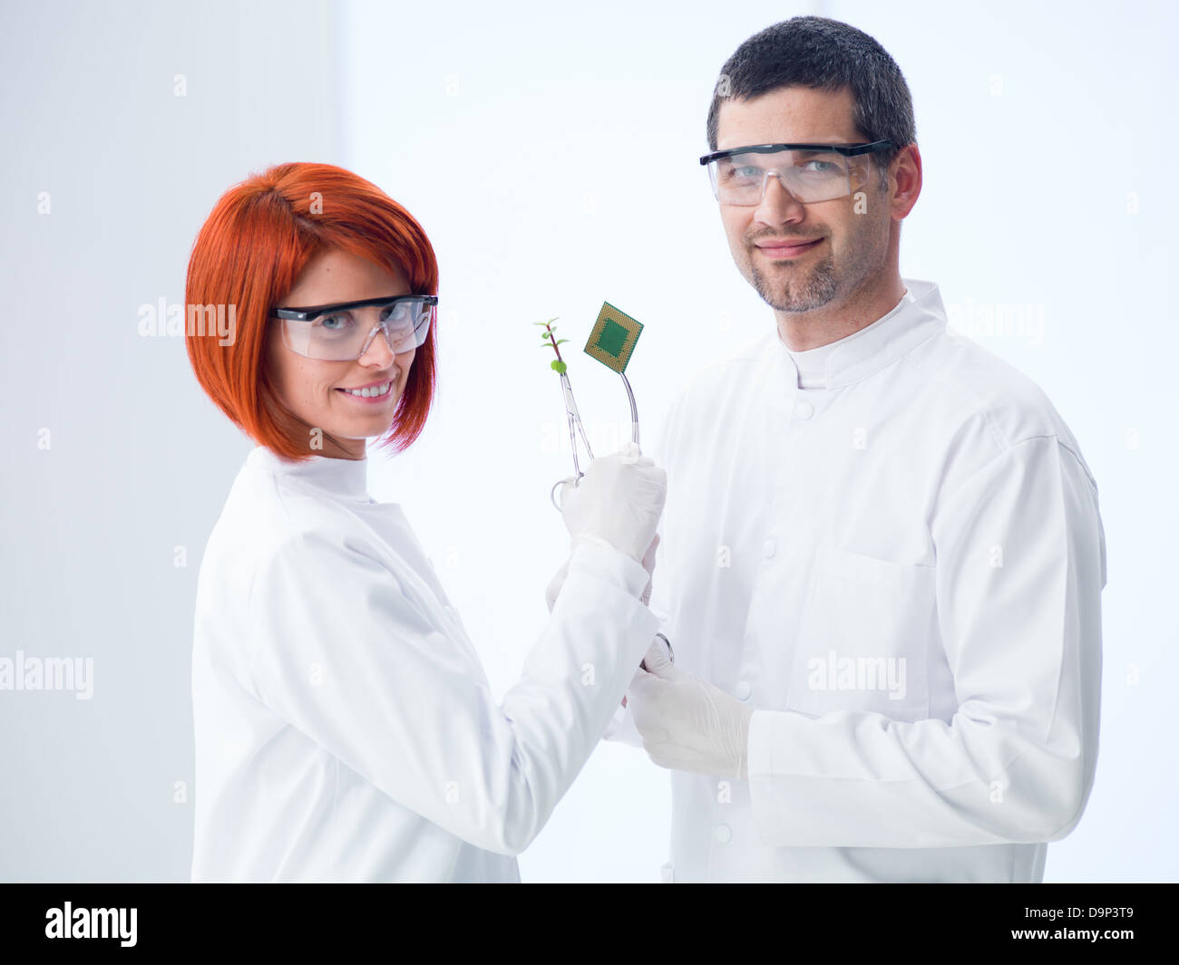 close-up of two scientist in a laboratory comparative analyzing a plant and a hard disk Stock Photo