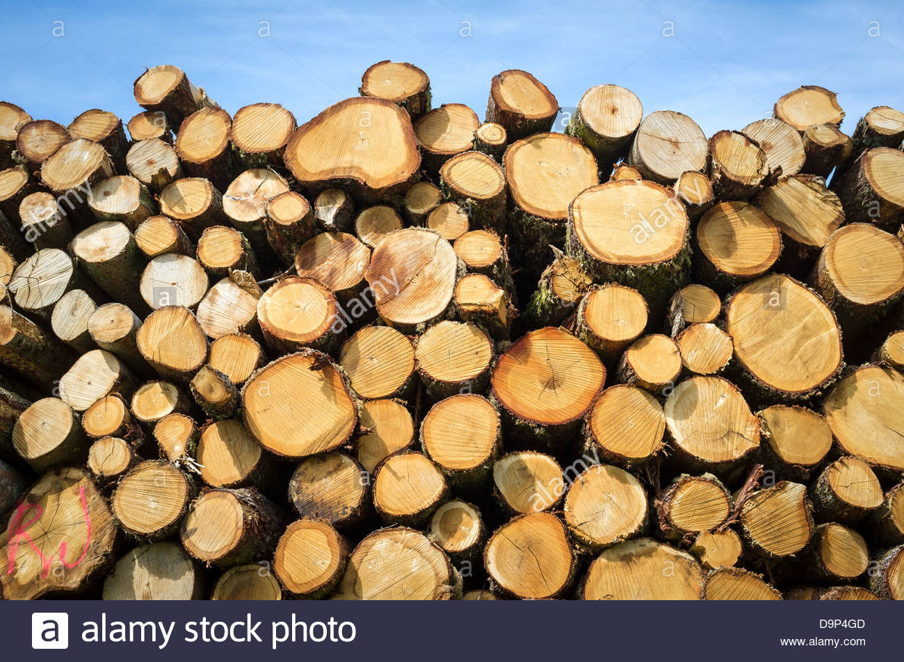 Commercial Logging Stock Photos & Commercial Logging Stock Images Alamy