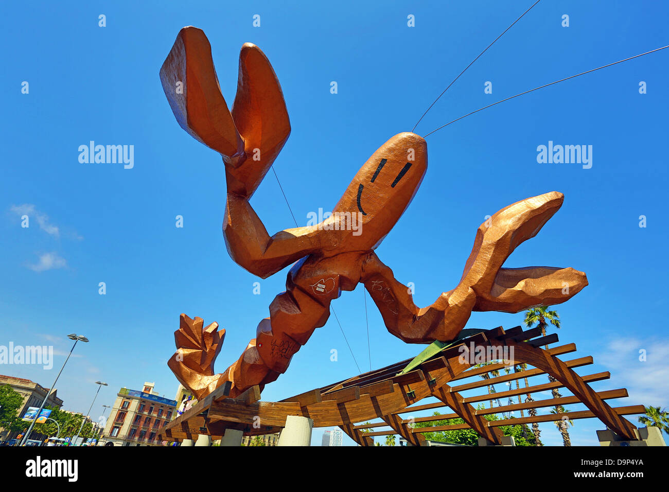 LOBSTER S 呑ま CARTEL 148cm