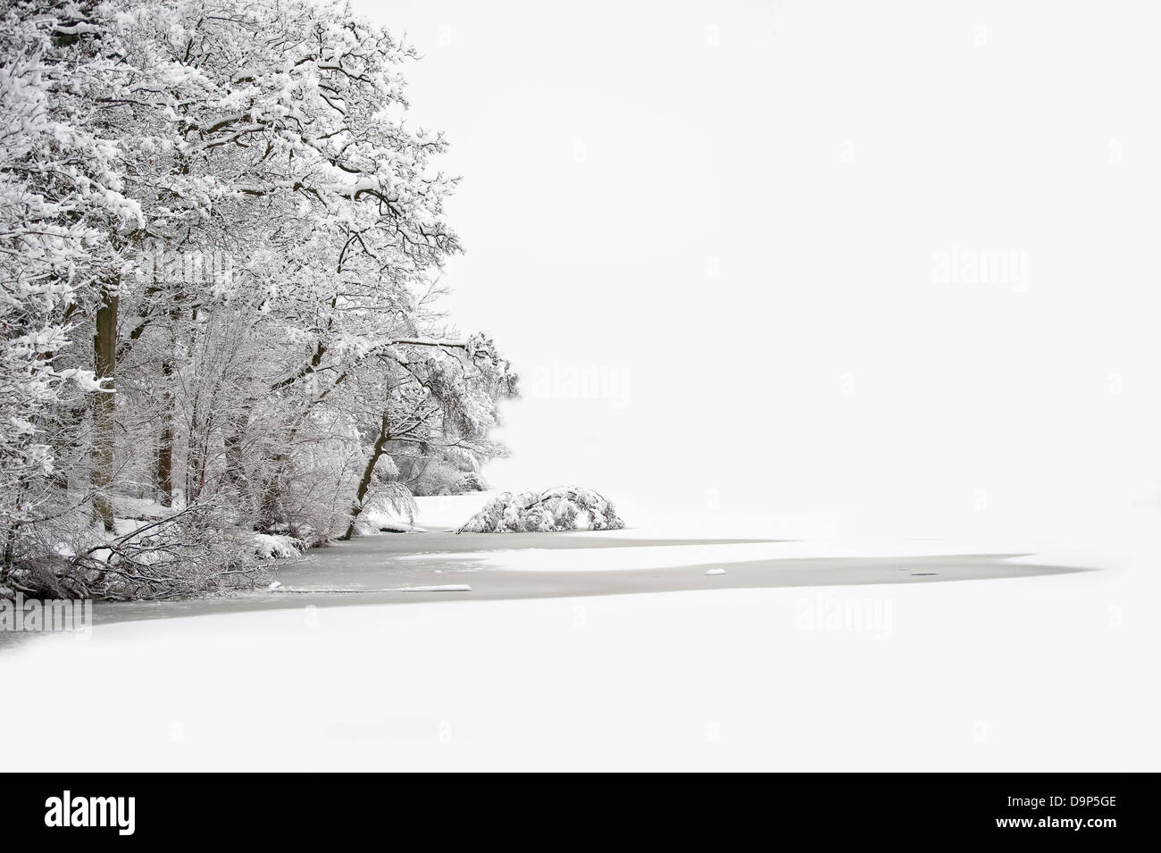 Deep Snow Pretty Beautiful Winter forest scene with deep virgin snow and plenty of space ...
