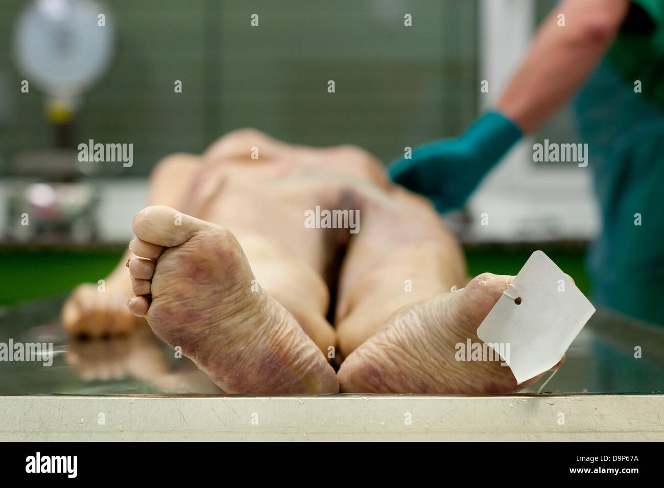 A dead woman lies on a table of the depanrtmend for forensic jurisprudence  in Brandenburg Stock Photo - Alamy