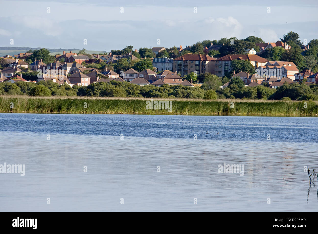 View of Radipole lake nature reserve in Weymouth, Dorset. Stock Photo
