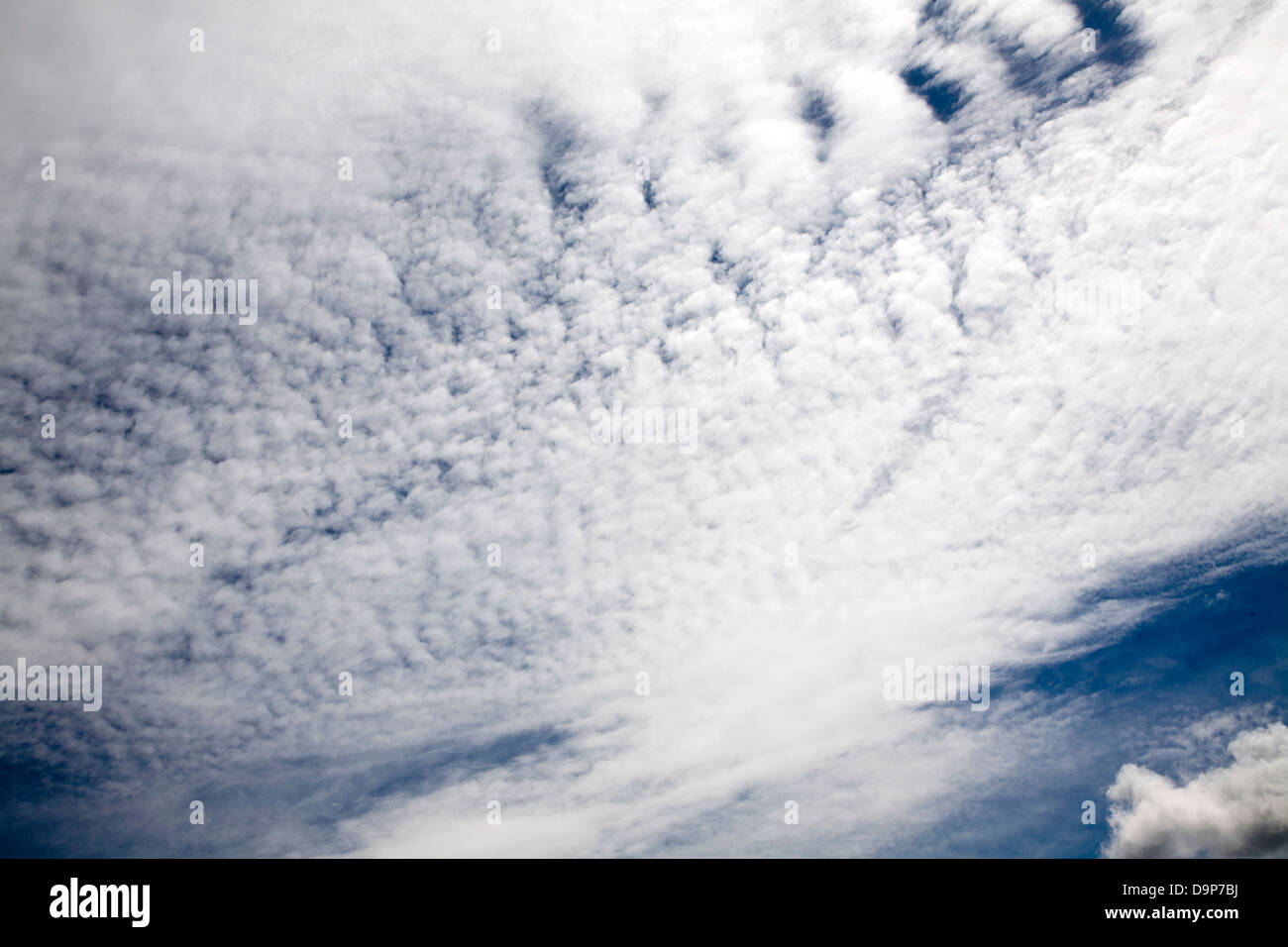Altocumulus mackerel sky clouds in blue sky Stock Photo