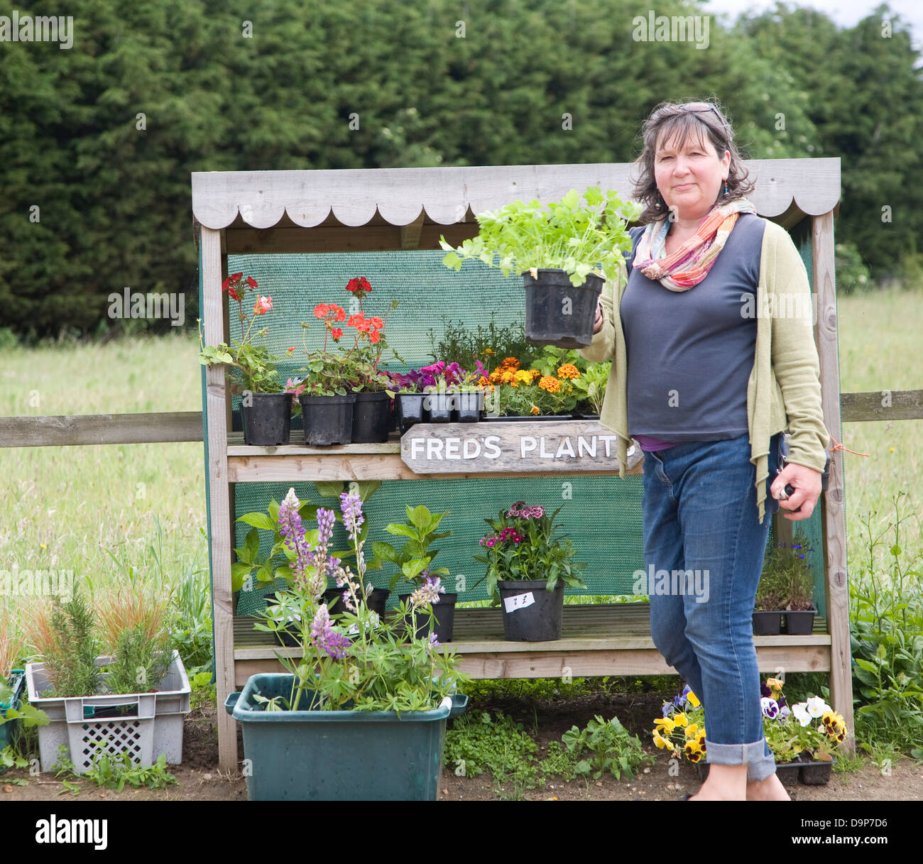 Woman at roadside plant stall Bawdsey, Suffolk, England Stock Photo
