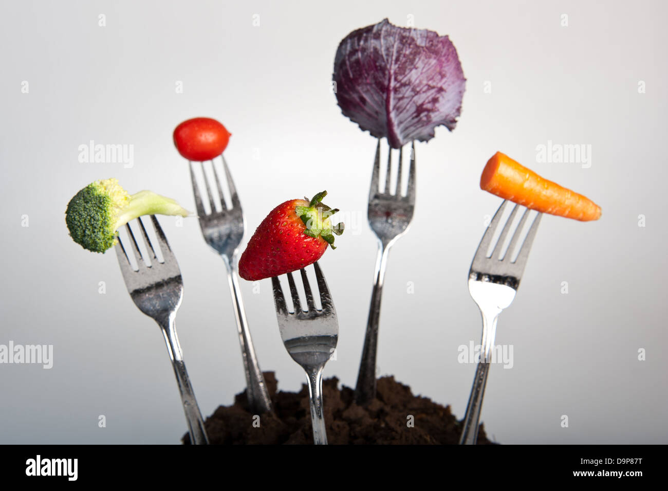 5 forks in soil each containing some vegetable or fruit with tiny water drops on surface. Stock Photo