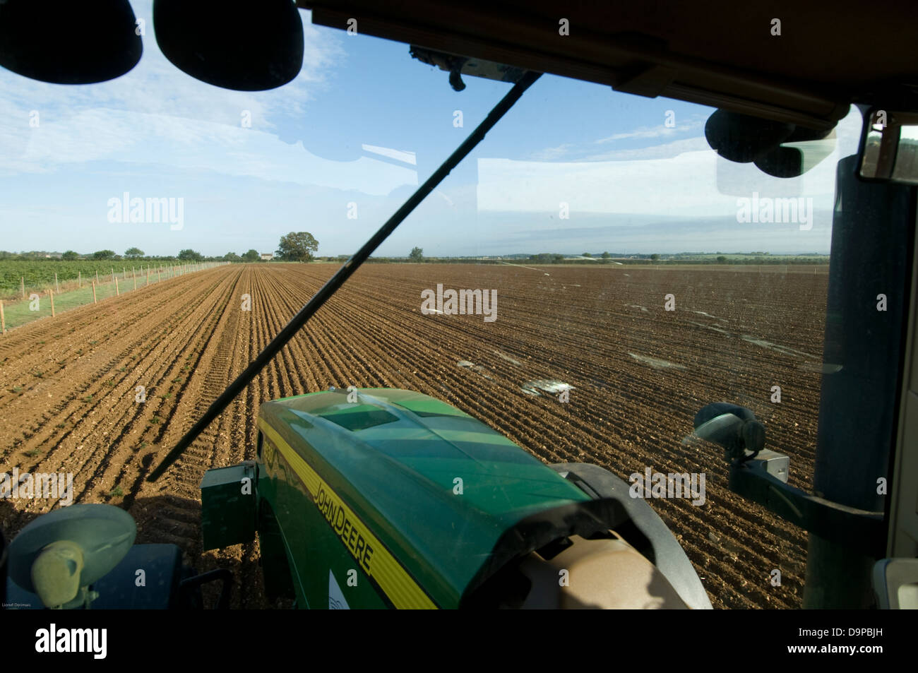 Planting Christmas trees in Lincolnshire, England Stock Photo Alamy