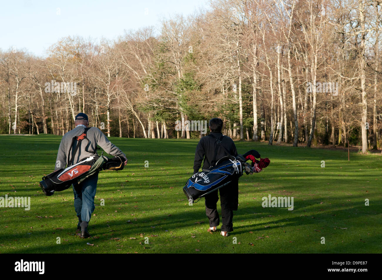 Two golf players on a golf course. Stock Photo