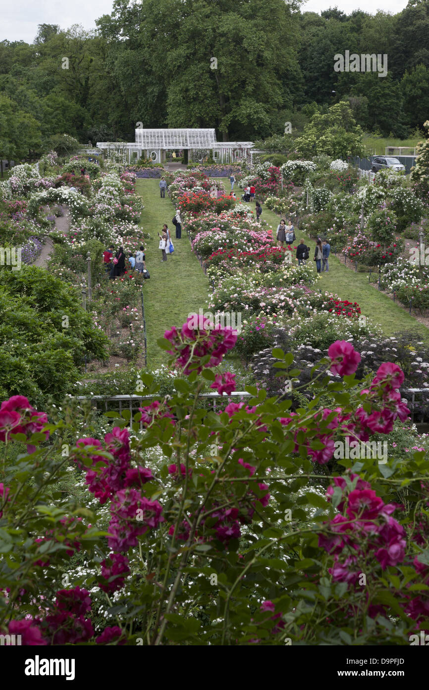 Cranford Rose Garden in bloom at the Brooklyn Botanic Garden, Brooklyn