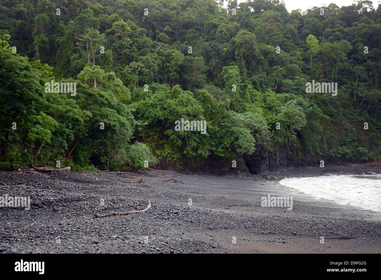 tropical rainforest in the wilderness of Central America Stock Photo ...