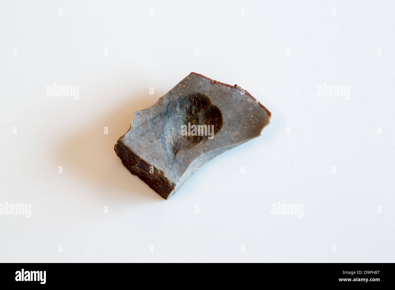 A close-up shot of an aboriginal stone cutting tool. It was found on a beach in Wollongong, Australia. Stock Photo