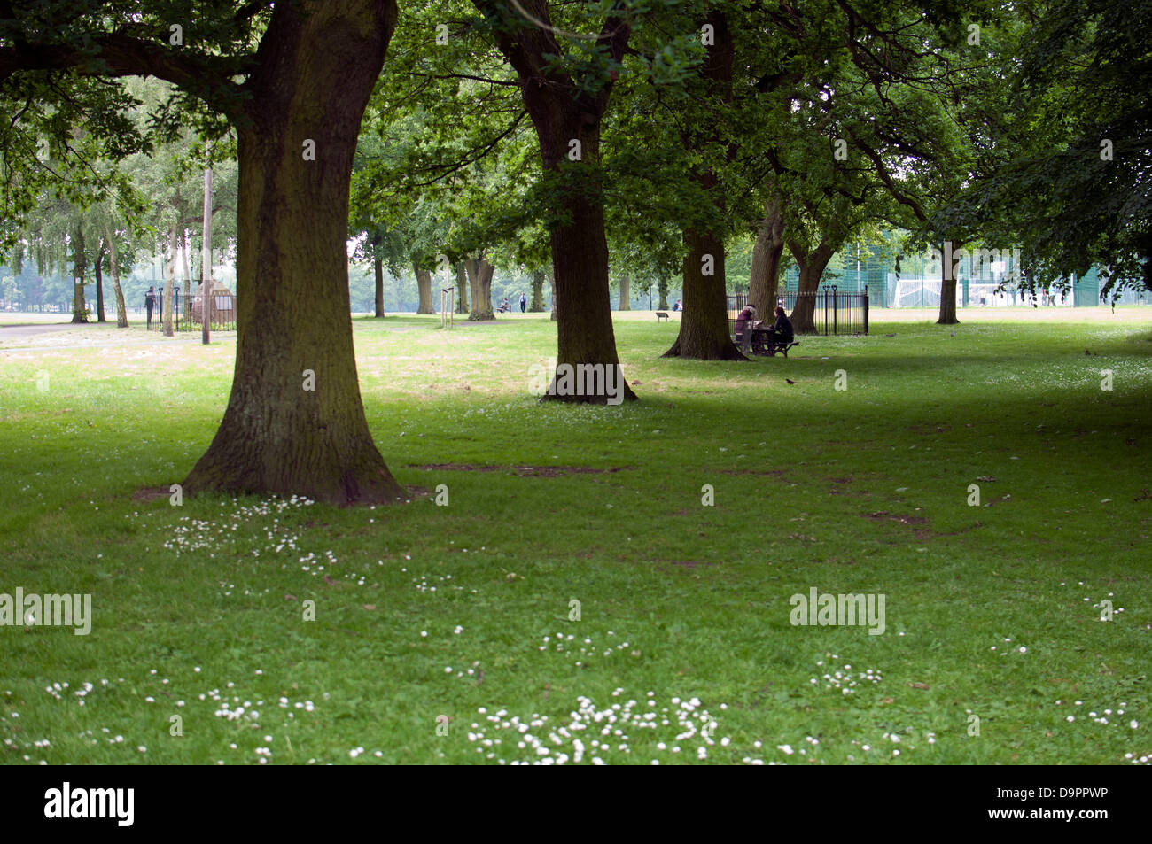 Victoria Park, Leicester, UK Stock Photo - Alamy