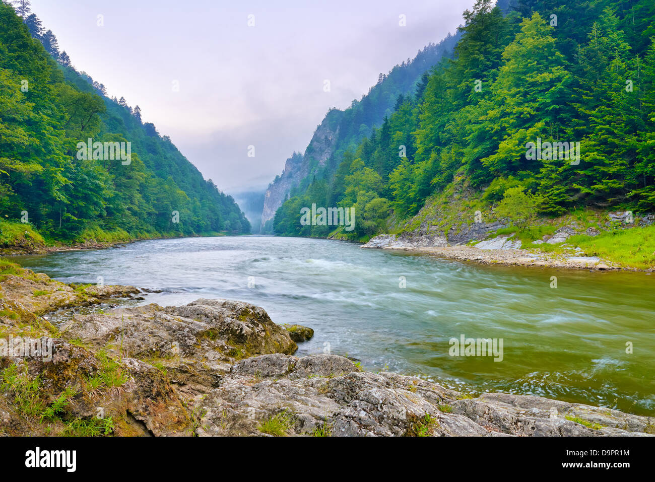 the-gorge-of-mountain-river-in-the-morning-dunajec-pieniny-stock