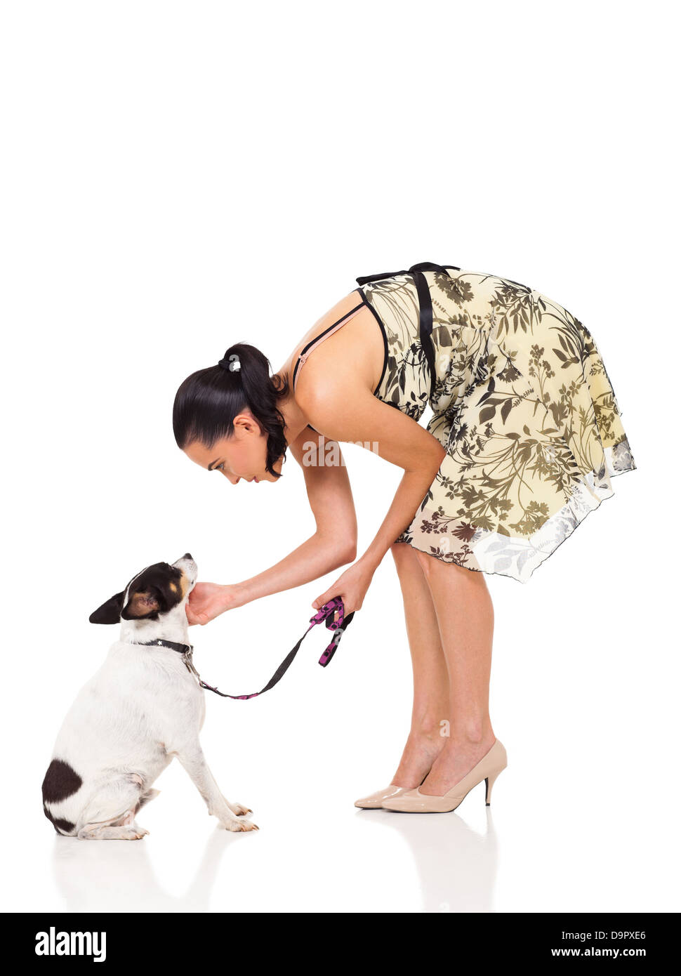 caring female pet owner playing with her dog over white background Stock Photo