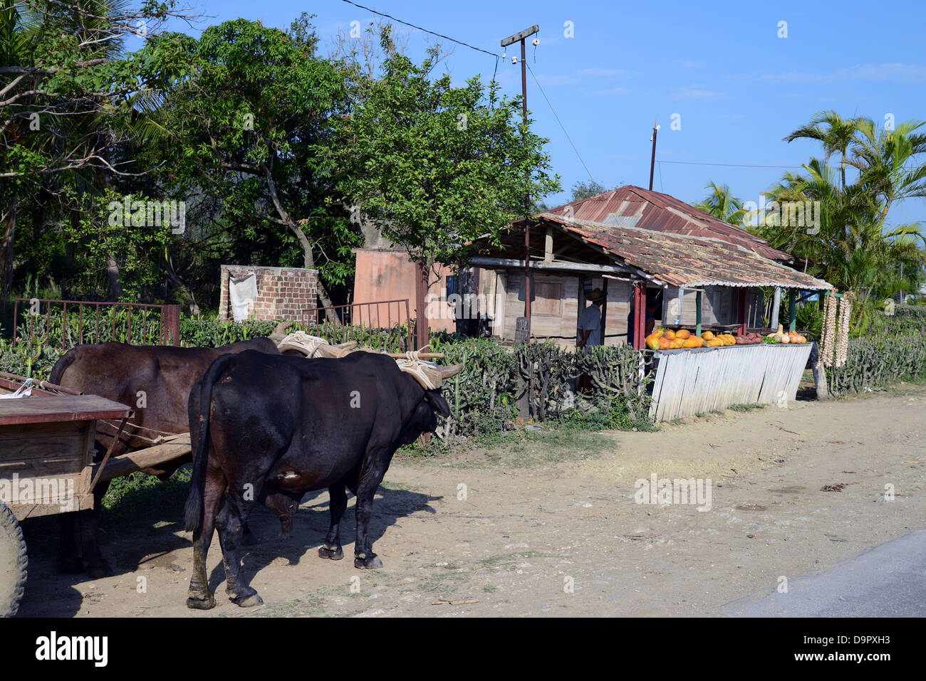 Rural roadside fruit and vegetable stall, near Sancti Spiritus, Cuba Stock Photo