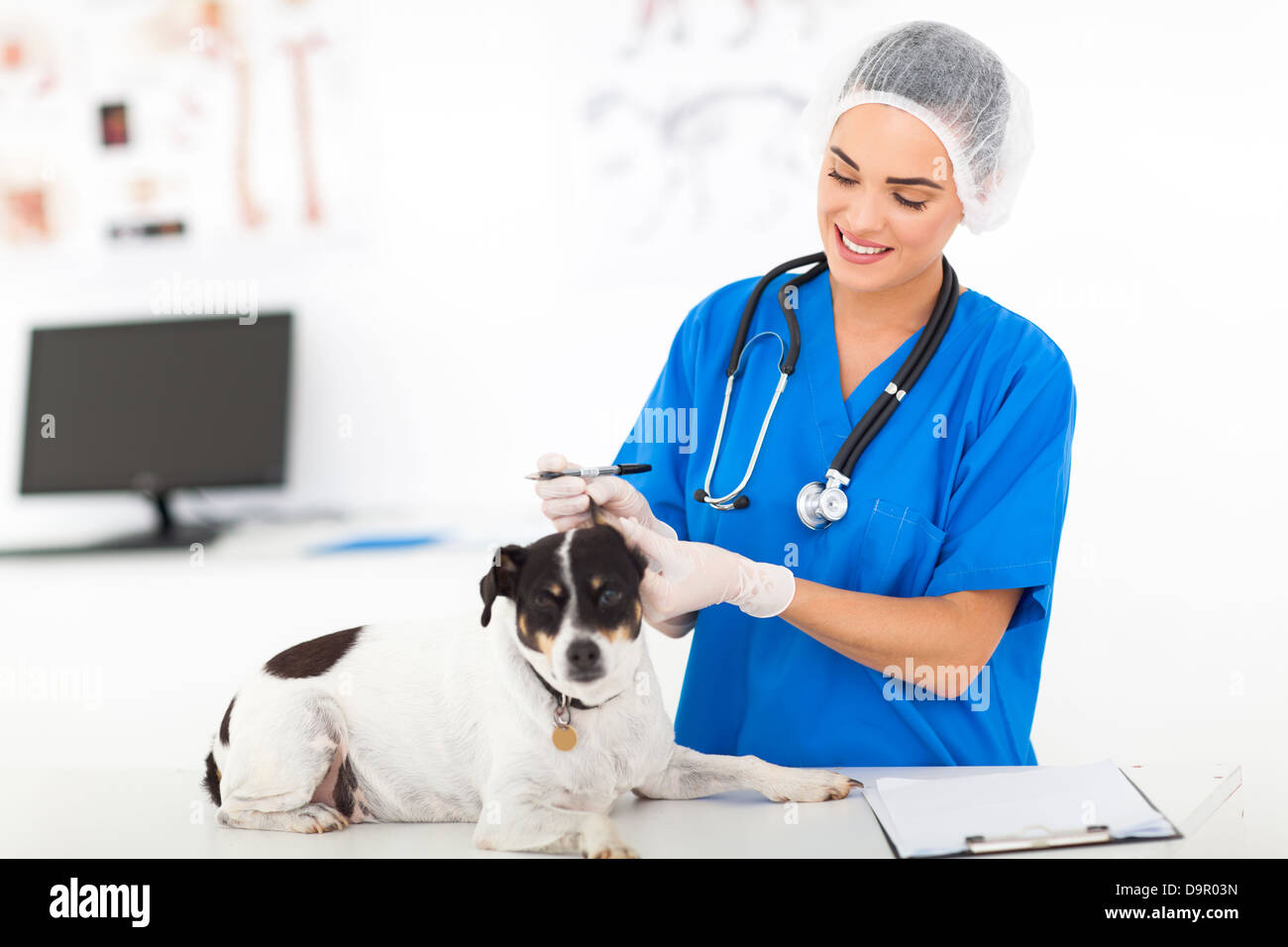 Veterinary doctor hi-res stock photography and images - Alamy
