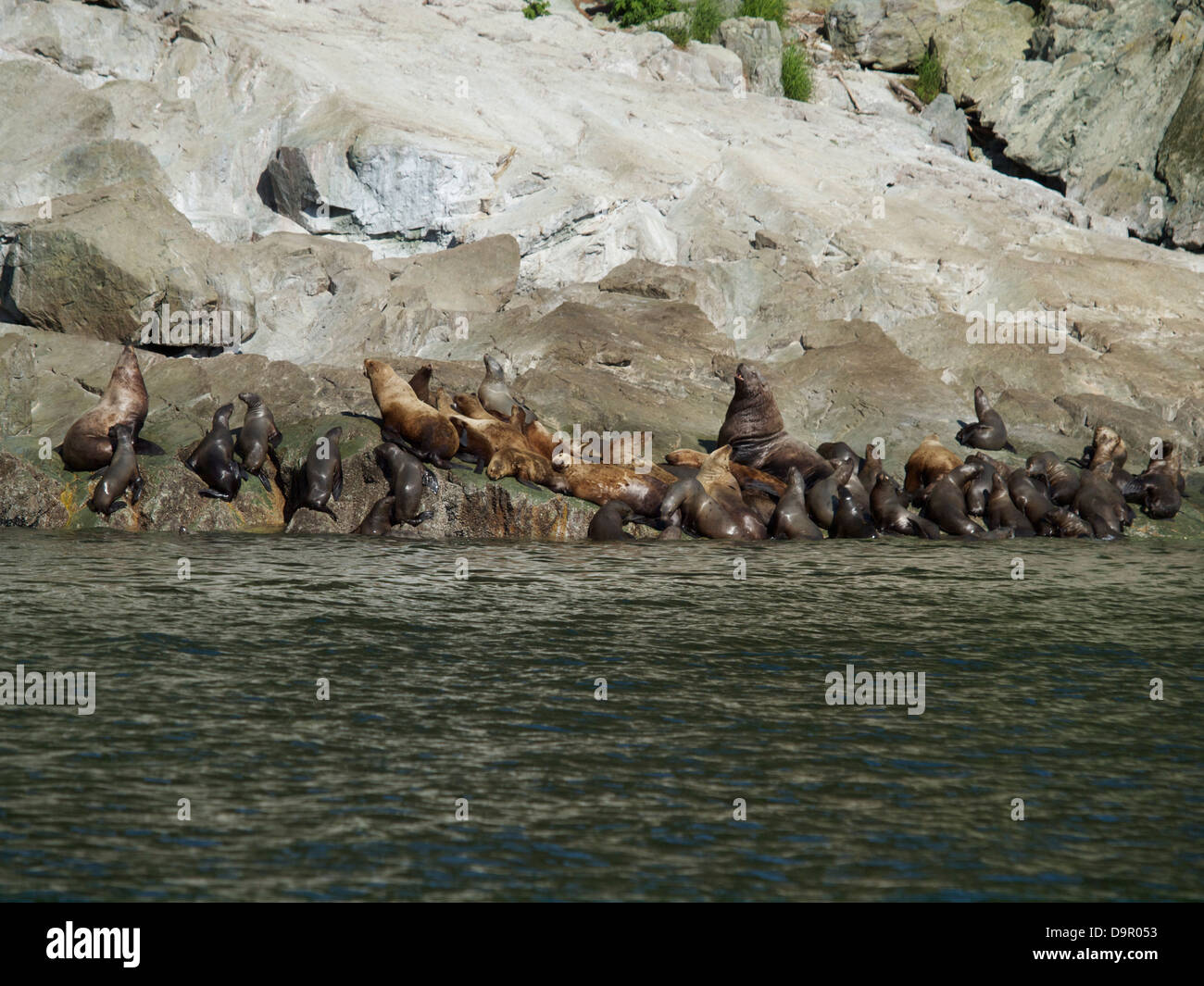 Alaska wild and natural Stock Photo