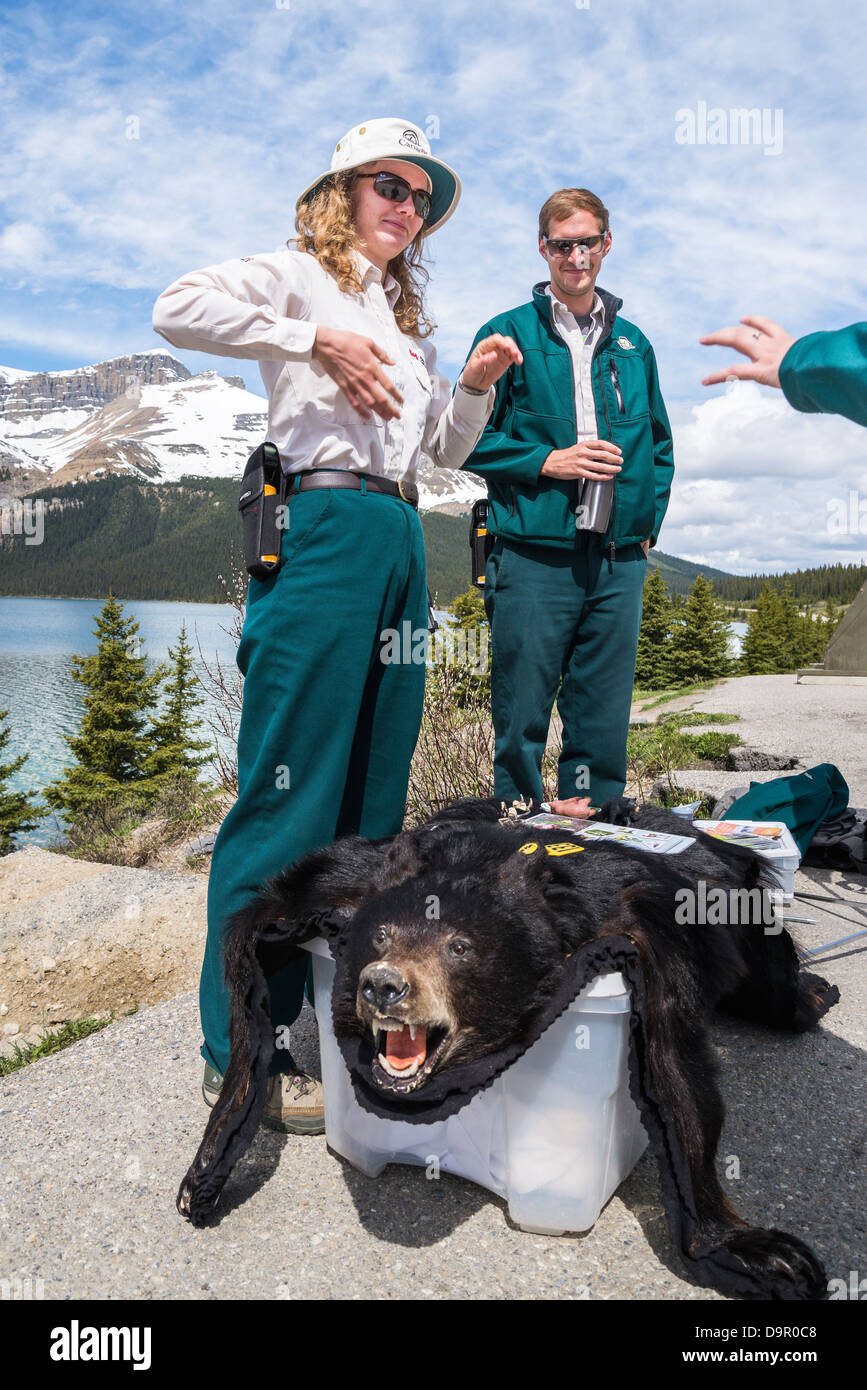 Bear Guardian Interpreters roadside display at Bow Lake, Banff National Park, Alberta, Canada Stock Photo