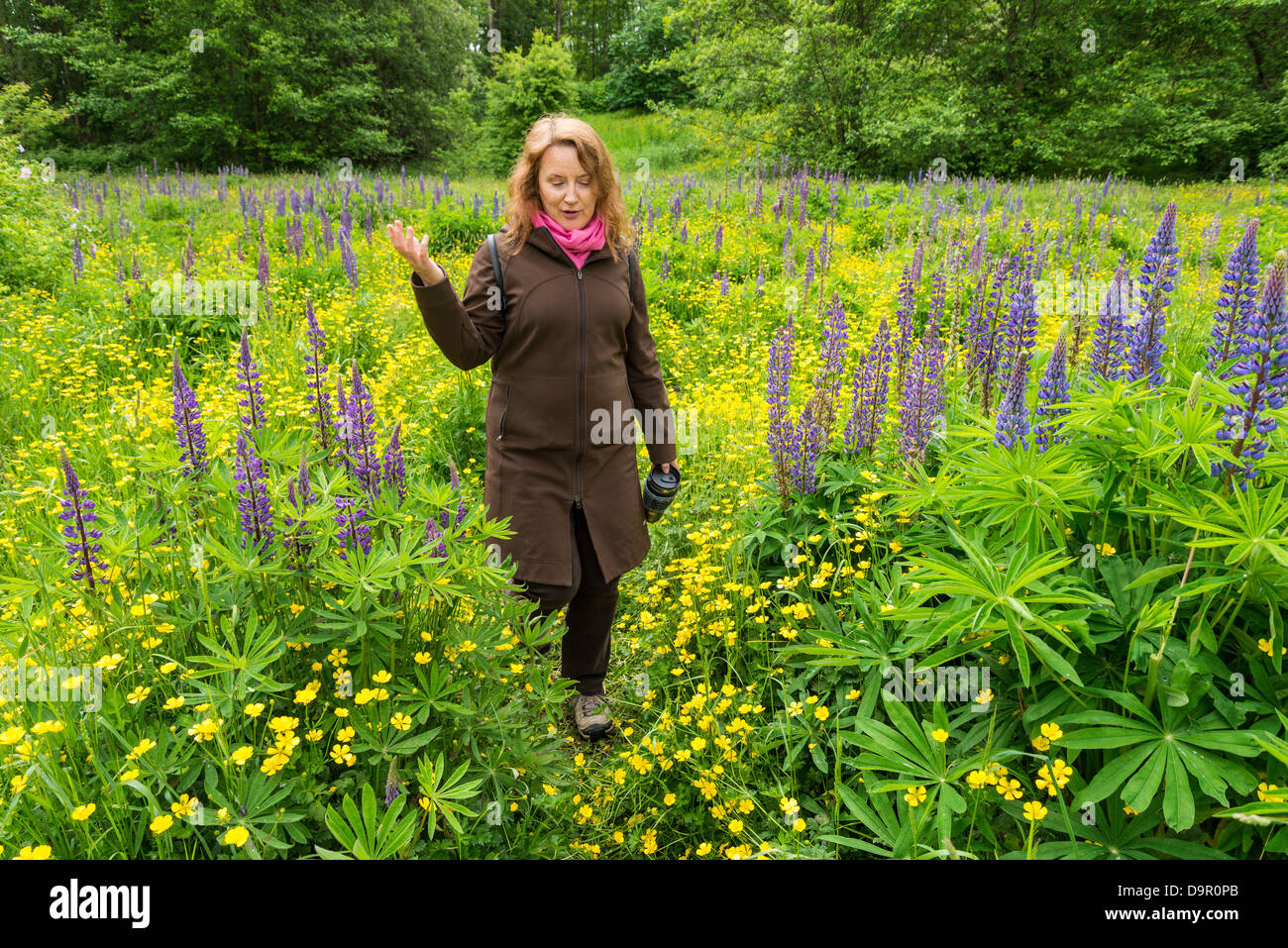 Wildflowers british columbia hi-res stock photography and images - Alamy