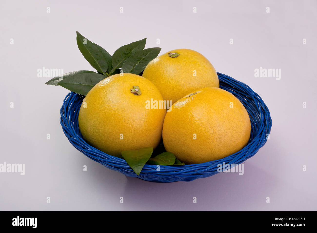 bowl of fresh grapefruit cut and whole Stock Photo