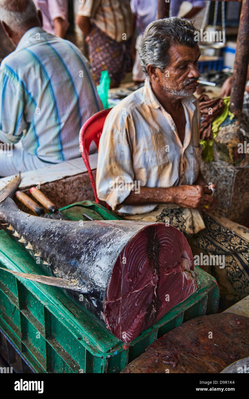 fish vendor at the market of Fort Cochin (Kochi), Kerala, India Stock Photo