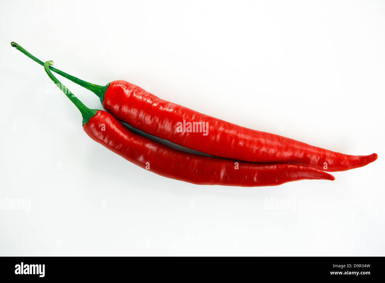 Red chillies on a white background Stock Photo
