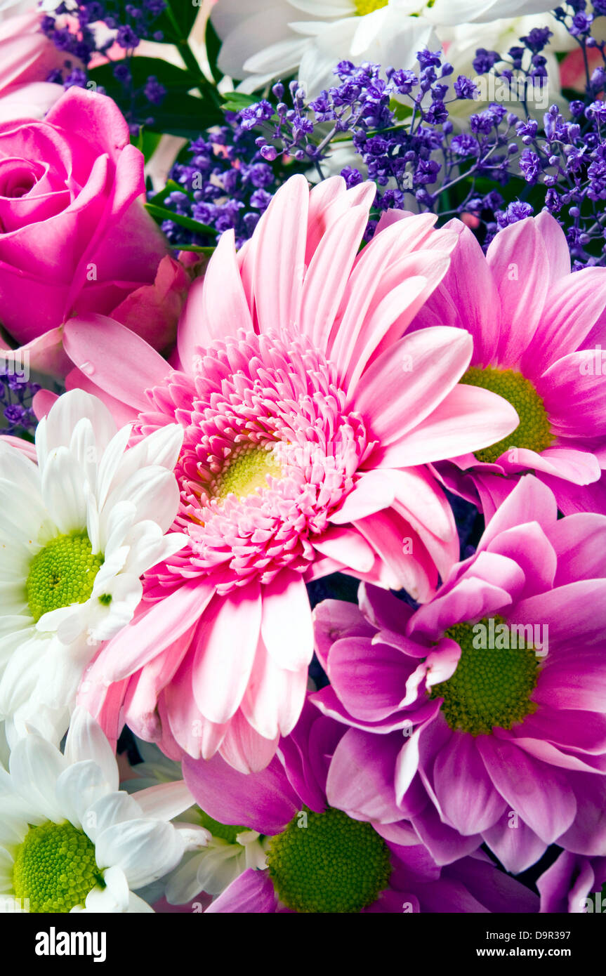 bouquet of spring flowers Stock Photo