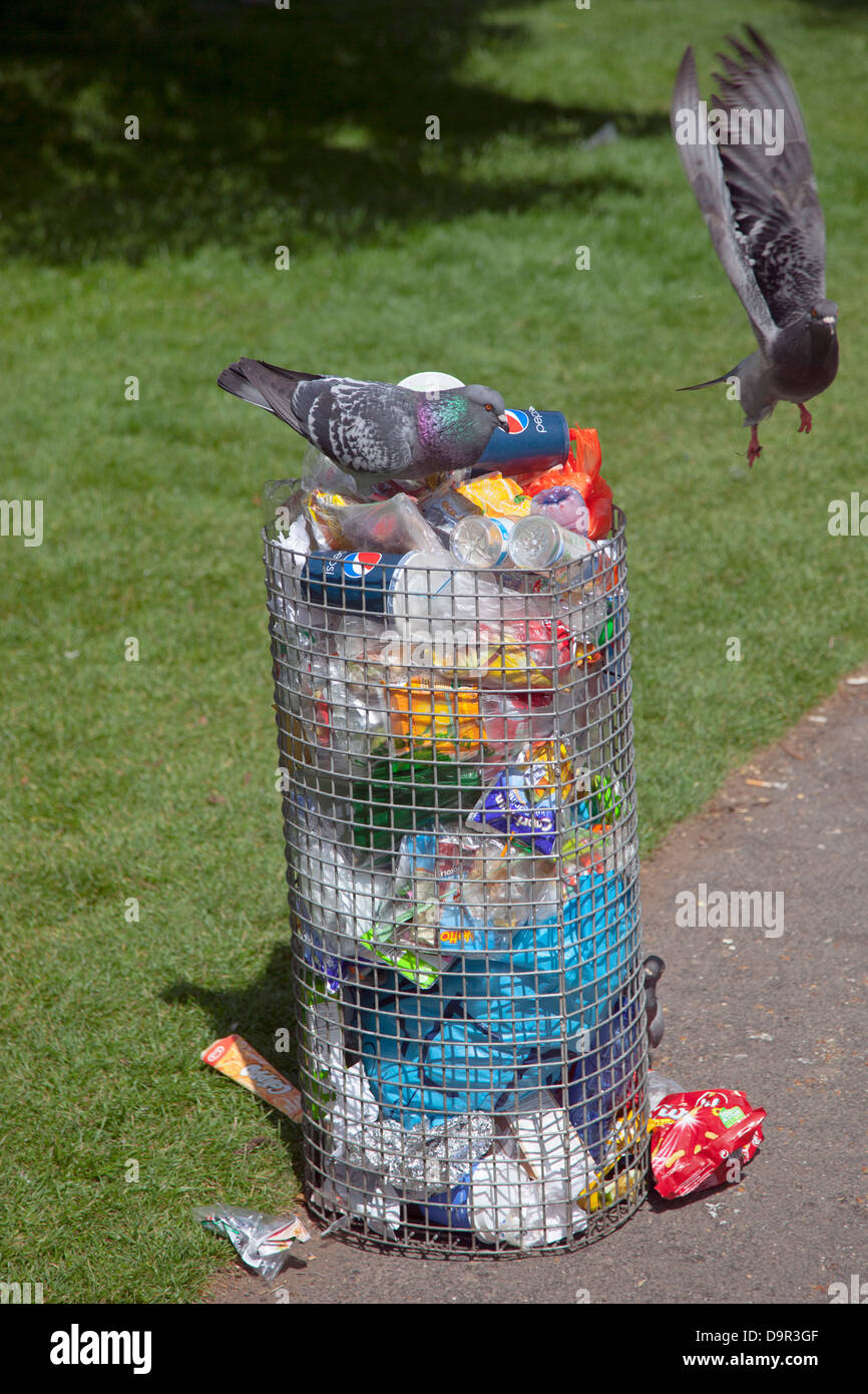 Feral Pigeons eating from rubbish bin Avenue Gardens Regents Park London Stock Photo