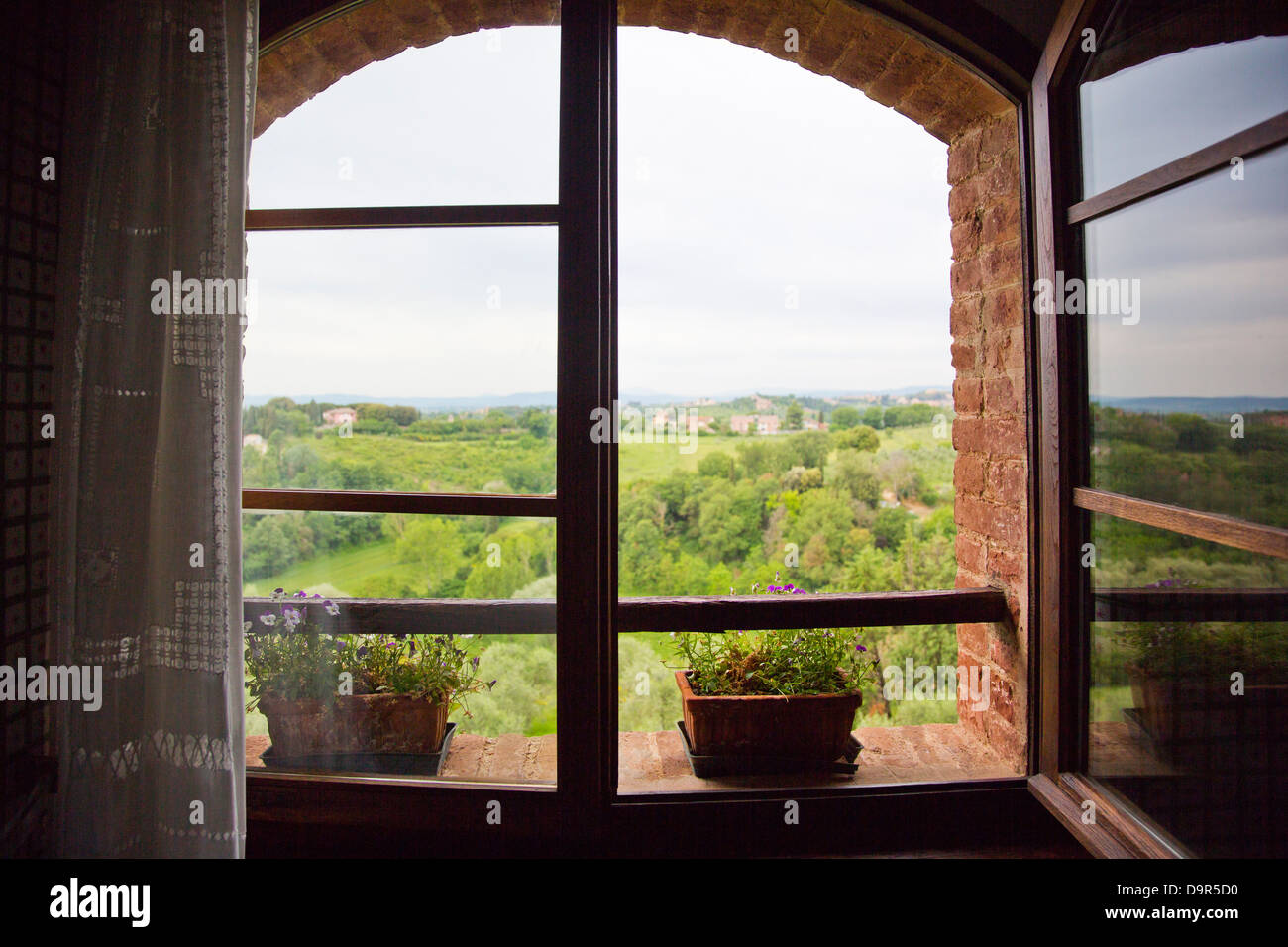 Trees on a hill viewed through from a window, Siena, Siena Province, Tuscany, Italy Stock Photo