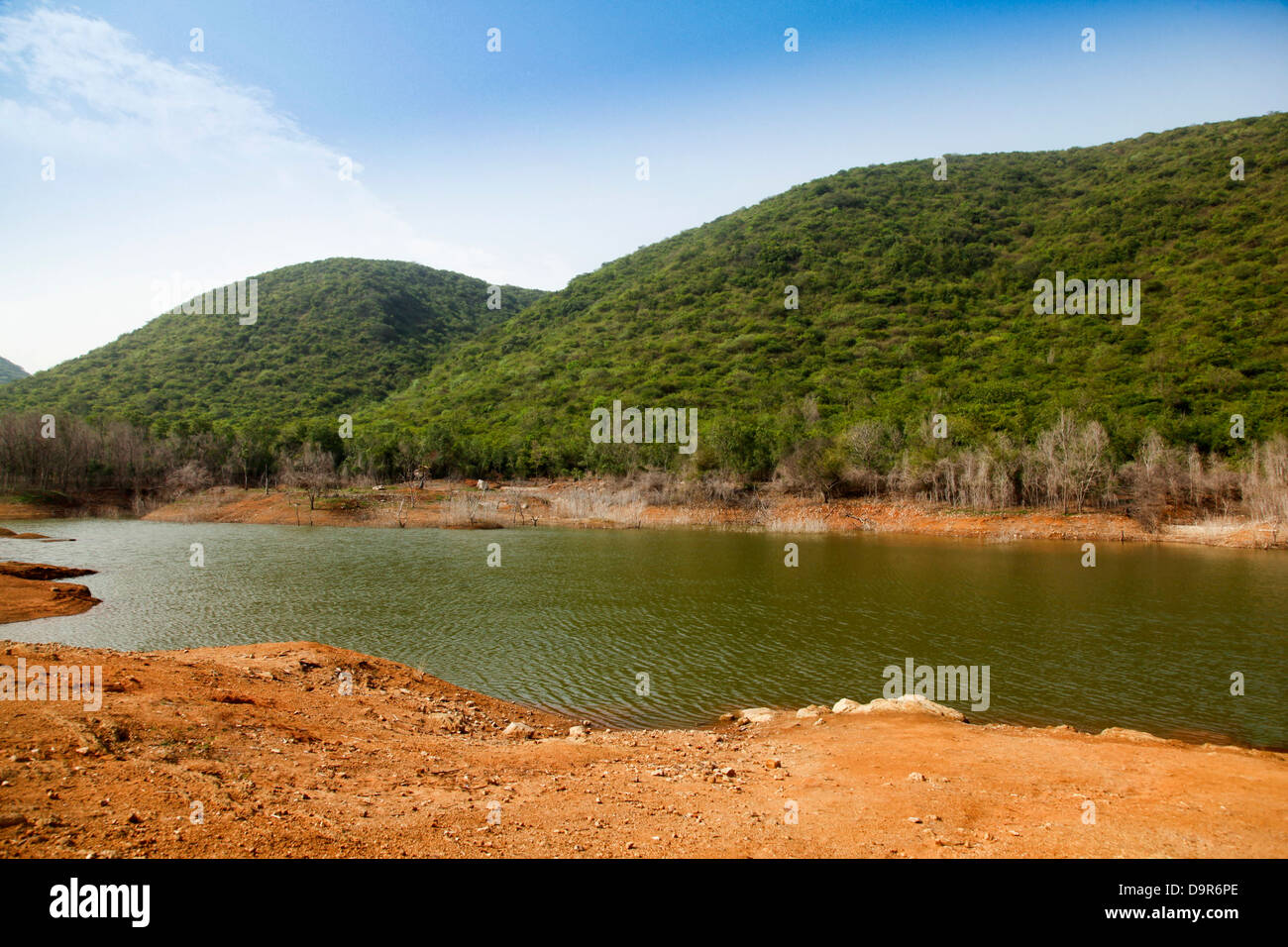 Lake in a park, Kambala Konda Eco Tourism Park (Majjisrinath), Visakhapatnam, Andhra Pradesh, India Stock Photo