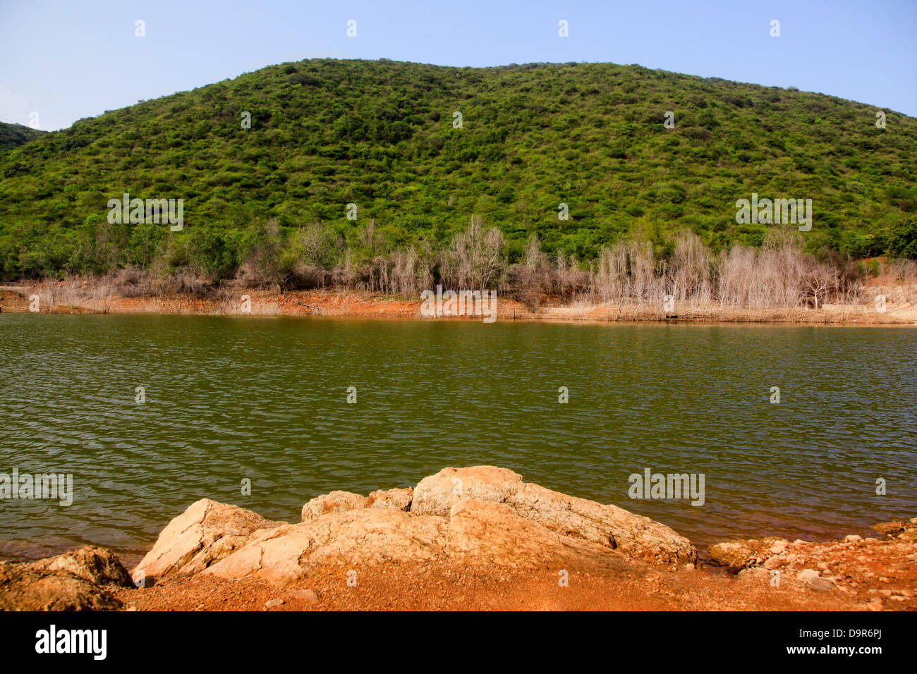 Lake in a park, Kambala Konda Eco Tourism Park (Majjisrinath), Visakhapatnam, Andhra Pradesh, India Stock Photo