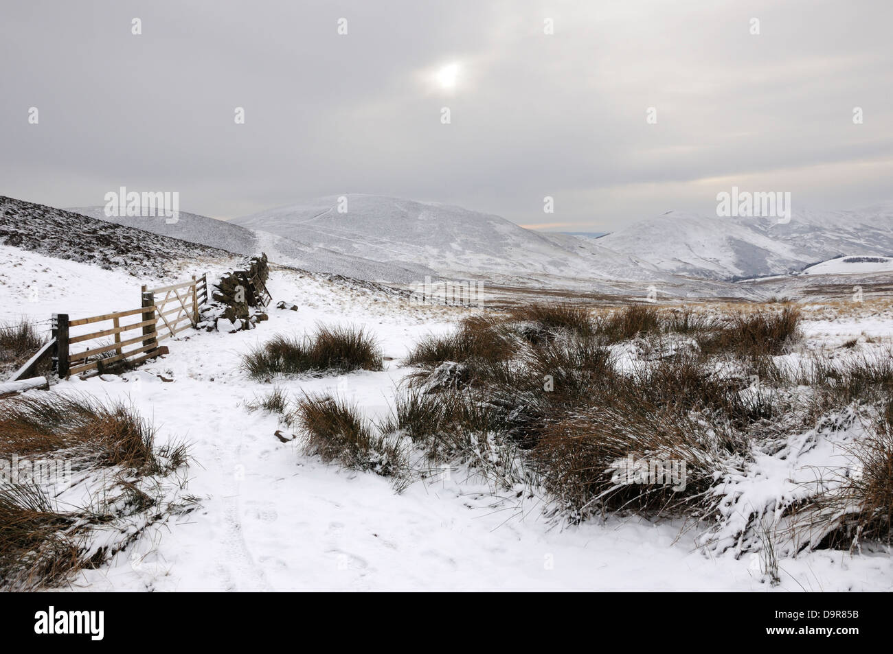 Looking south towards Castle Law in the Pentland Hills regional park near Edinburgh Stock Photo