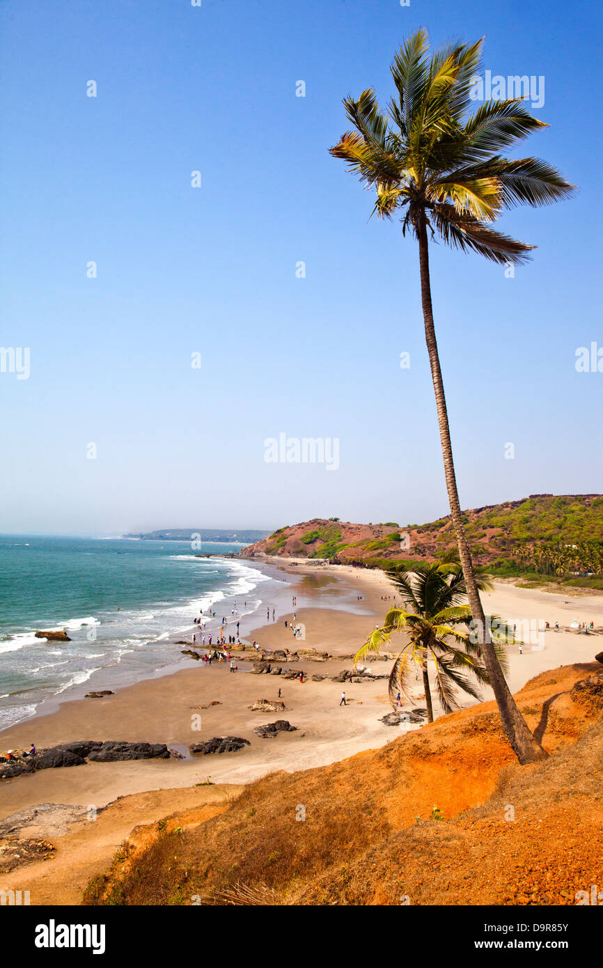 Palm trees on the beach, Vagator, Bardez Taluka, Goa, India Stock Photo