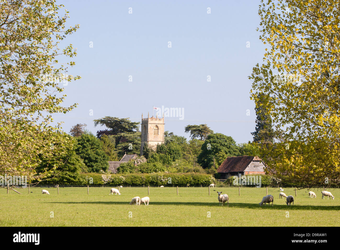 Looking across fields to St Michaels Church, Great Comberton, Worcestershire, England, UK Stock Photo