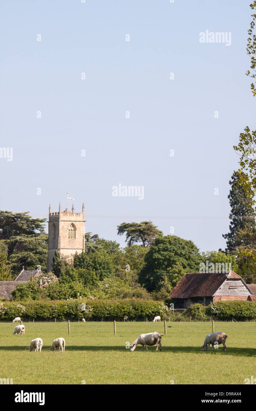 Looking across fields to St Michaels Church, Great Comberton, Worcestershire, England, UK Stock Photo