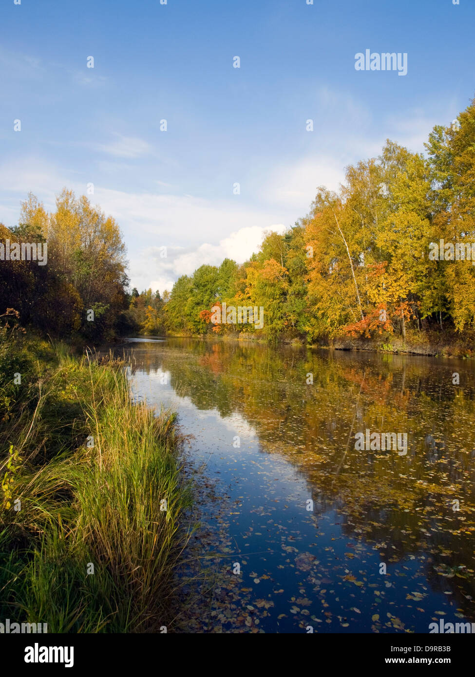 Autumn colors river reflection. Stock Photo
