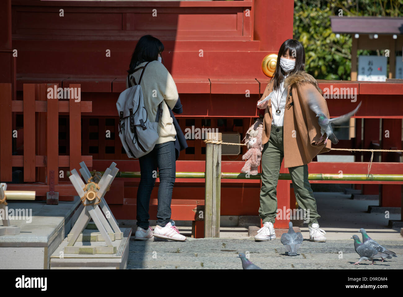 Japanese tourists at Tsurugaoka Hachimangu Shrine, Kamakura Stock Photo