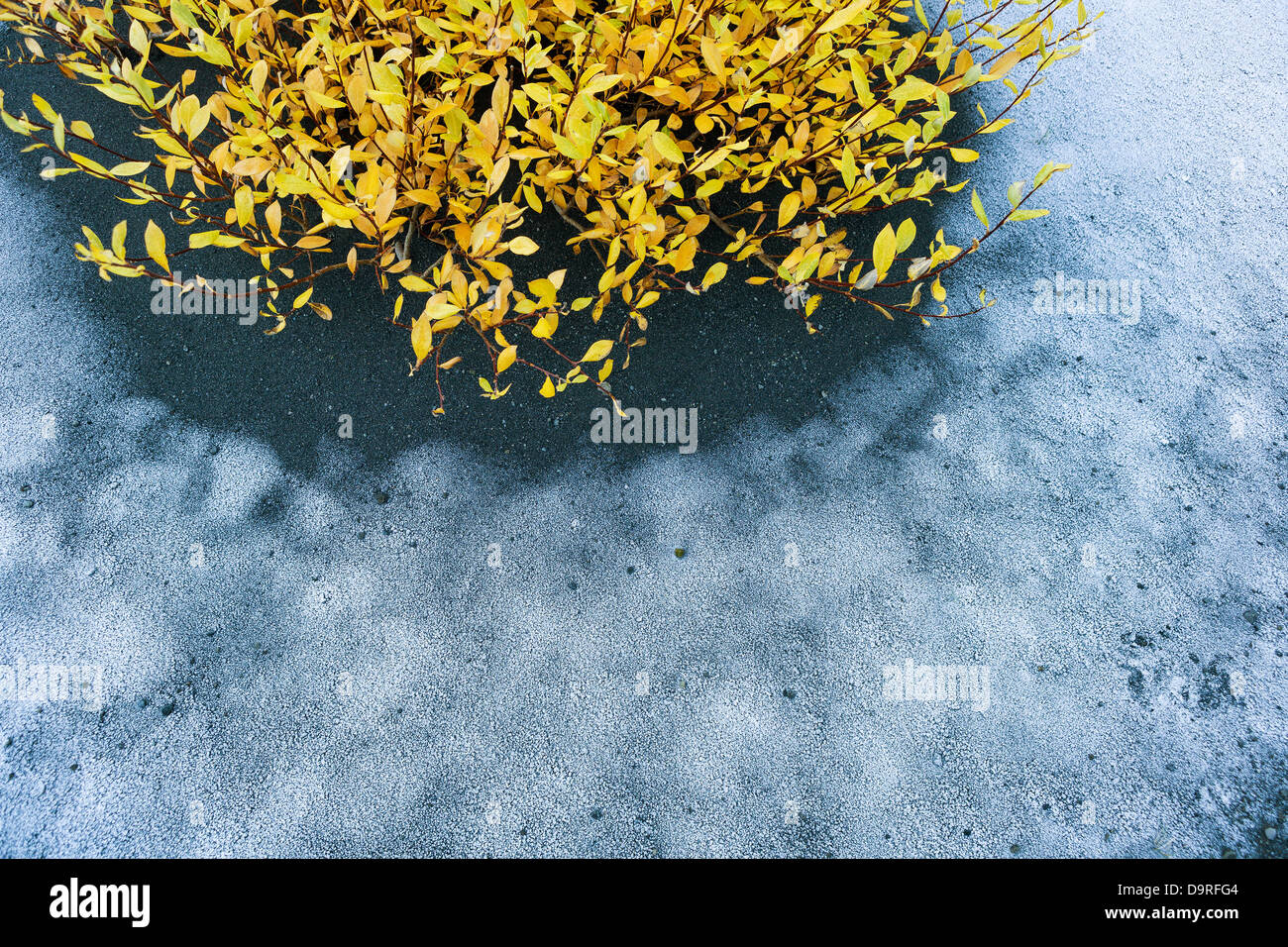 Steinsholtsjokull Glacier, Iceland. Stock Photo