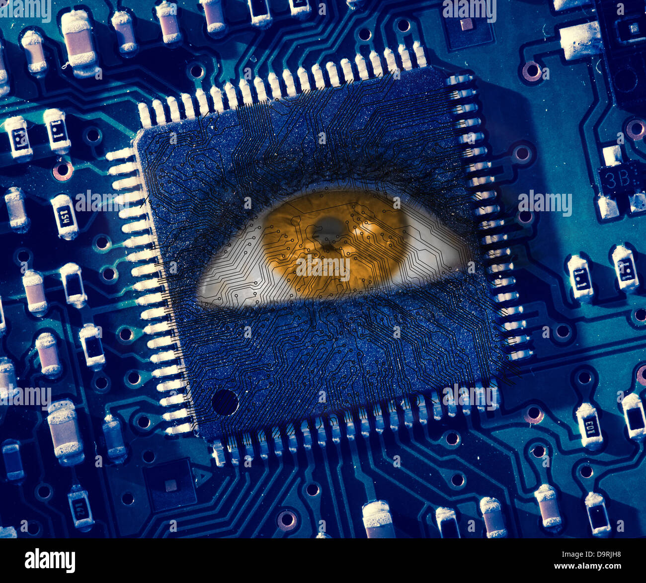 Brown eye in middle of blue circuit board Stock Photo