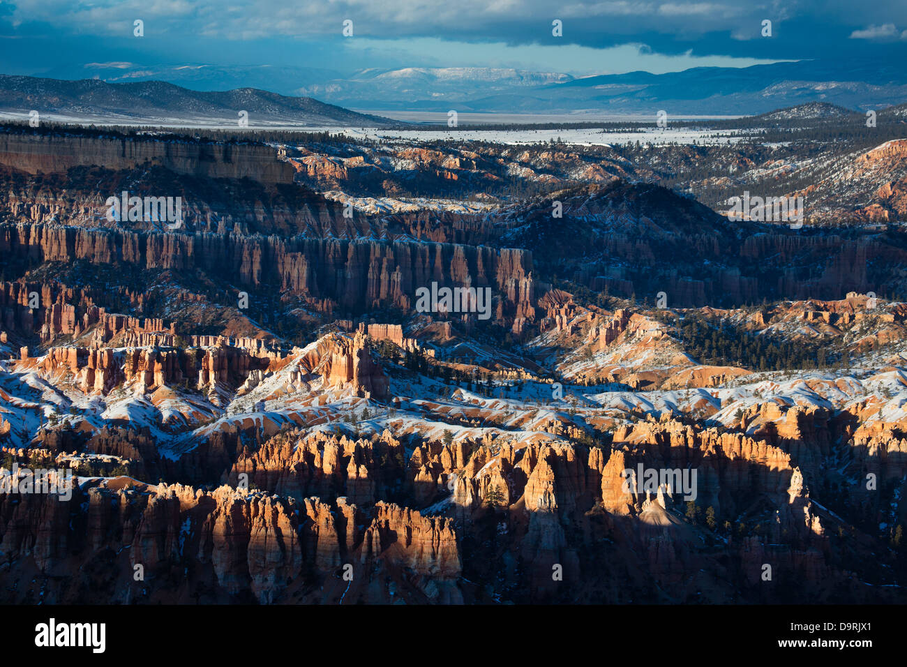 last light on the hoodoos of Bryce Canyon, Utah, USA Stock Photo