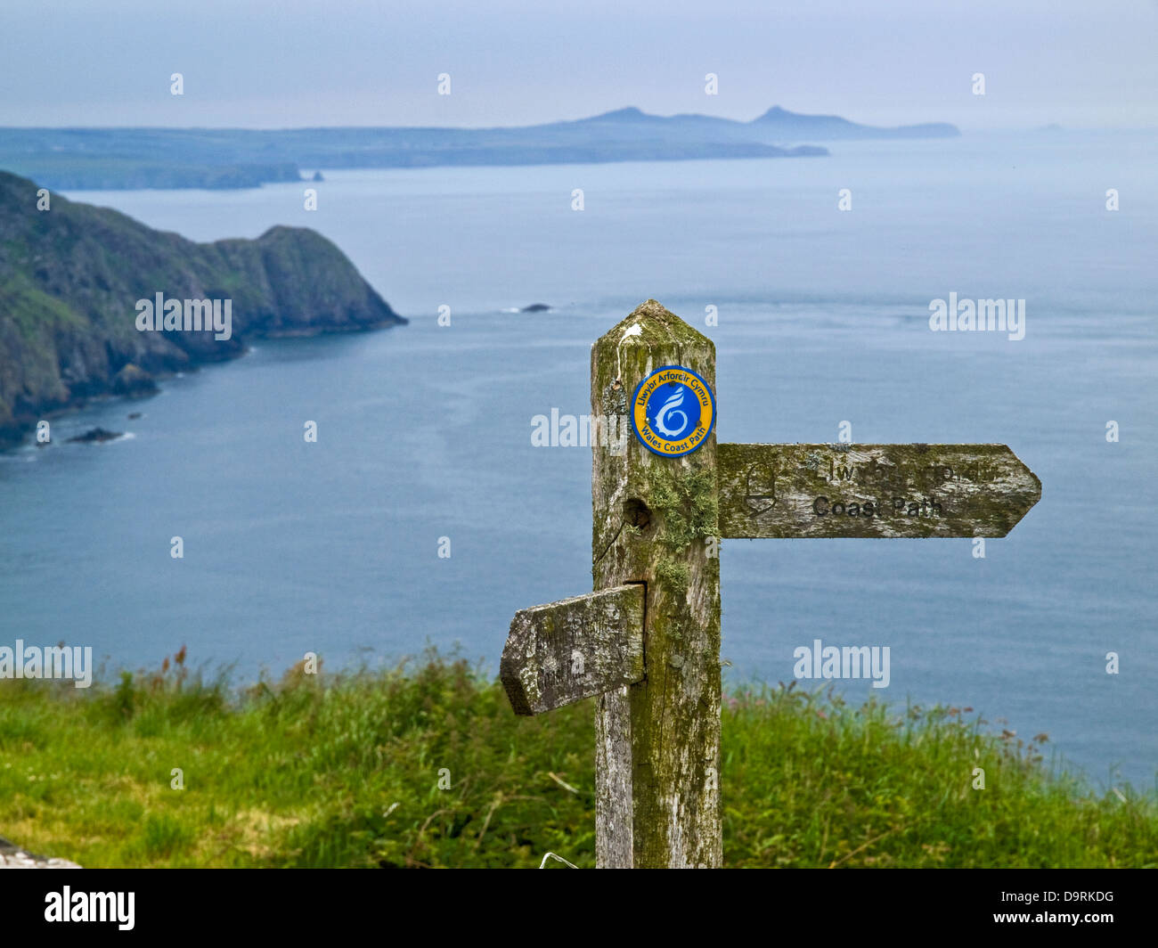 Pembrokeshire Coast Path signpost at Pwll Deri Stock Photo