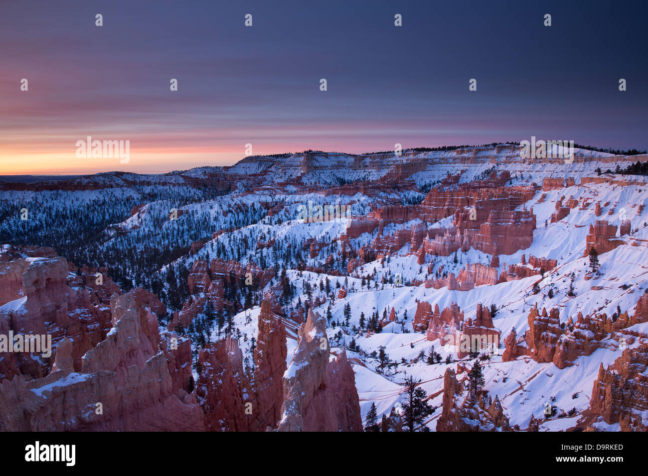 the hoodoos in the Amphitheatre of Bryce Canyon at dawn, Utah, USA Stock Photo