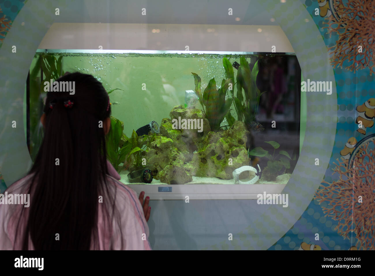 A girls looks at the watches displayed in a fish tank in one of the stores  at Henry St., Dublin, Ireland Stock Photo - Alamy