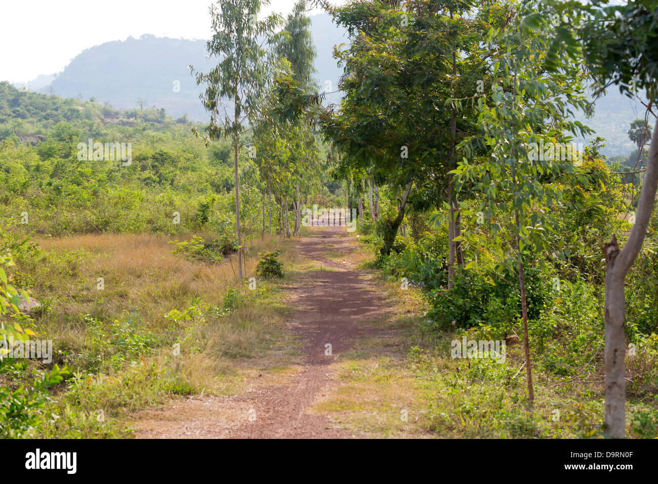 Country Road in the Province of Kampot, Cambodia Stock Photo