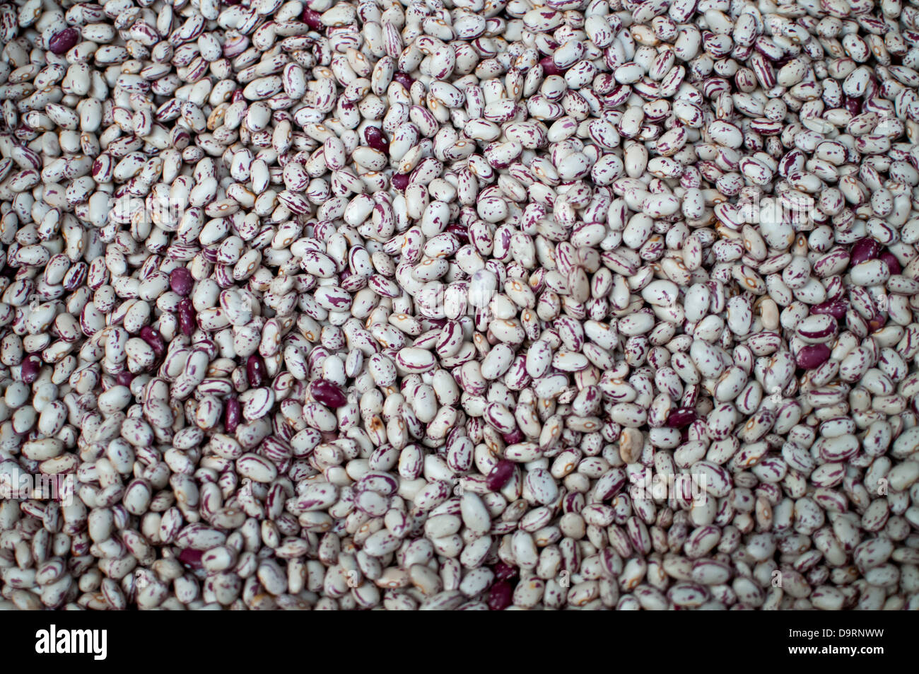 White beans with red spots Stock Photo Alamy