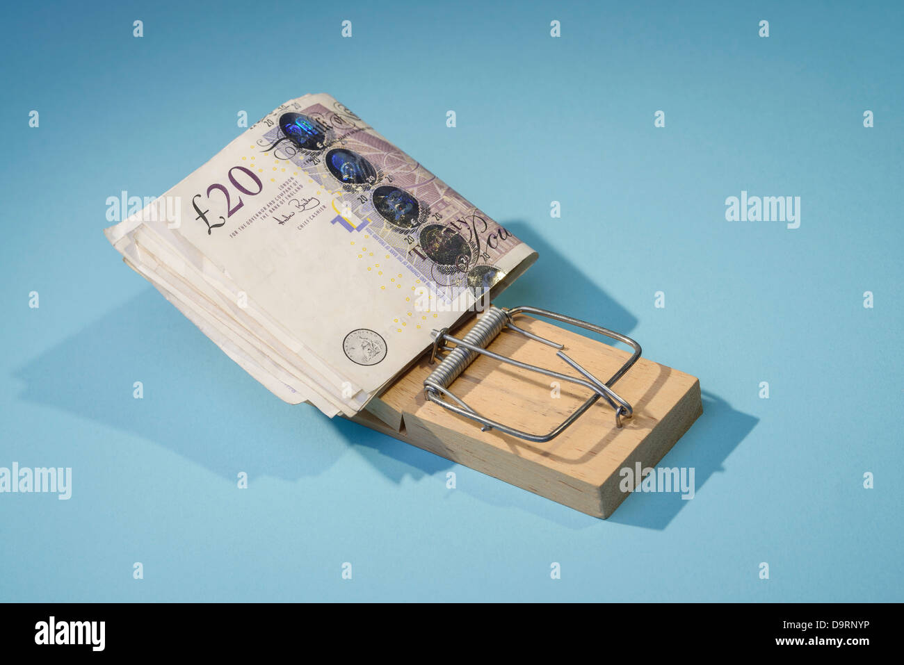 Twenty pound notes in a mousetrap Stock Photo