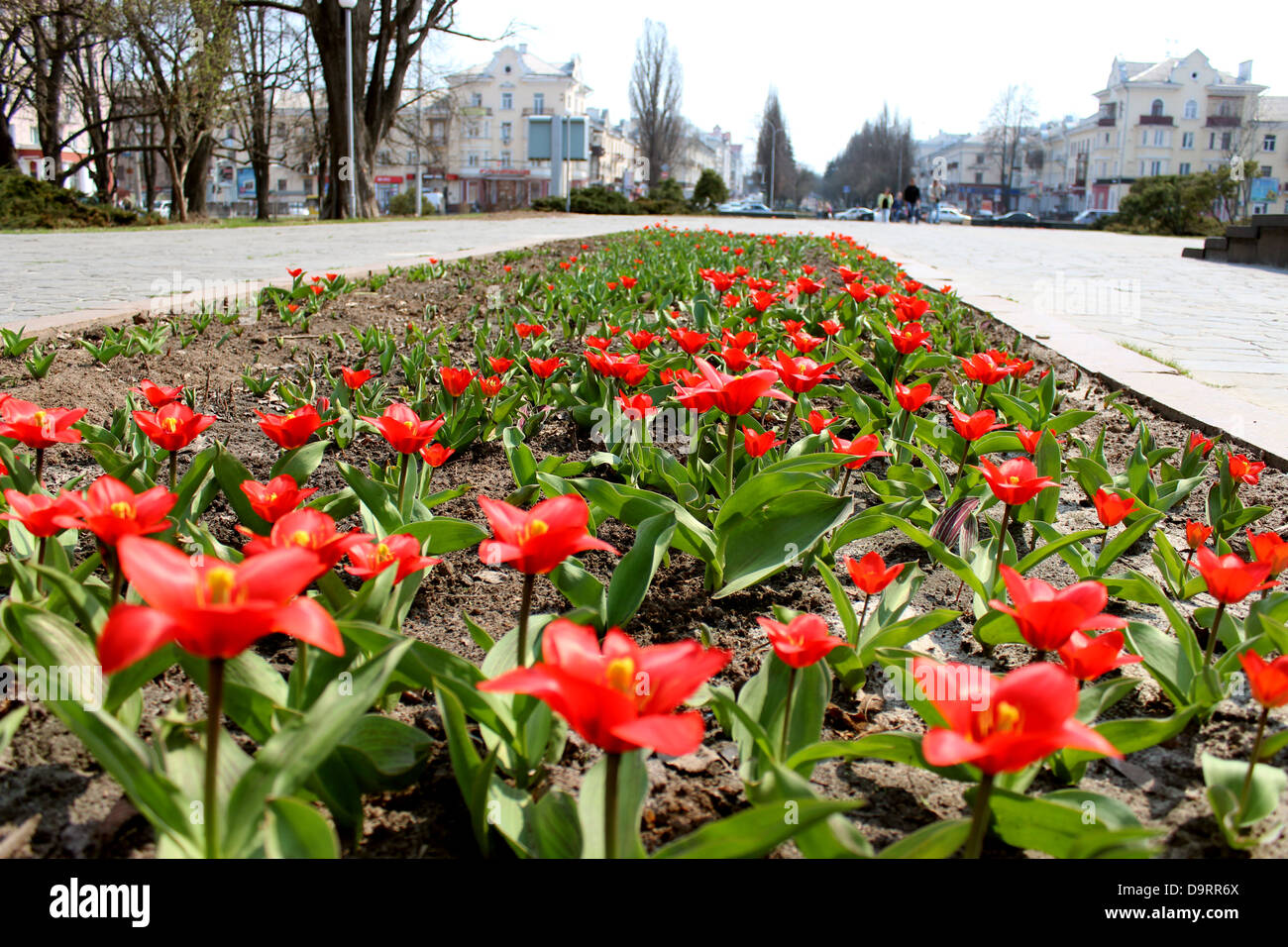 City flower bed colorful hi-res stock photography and images - Alamy