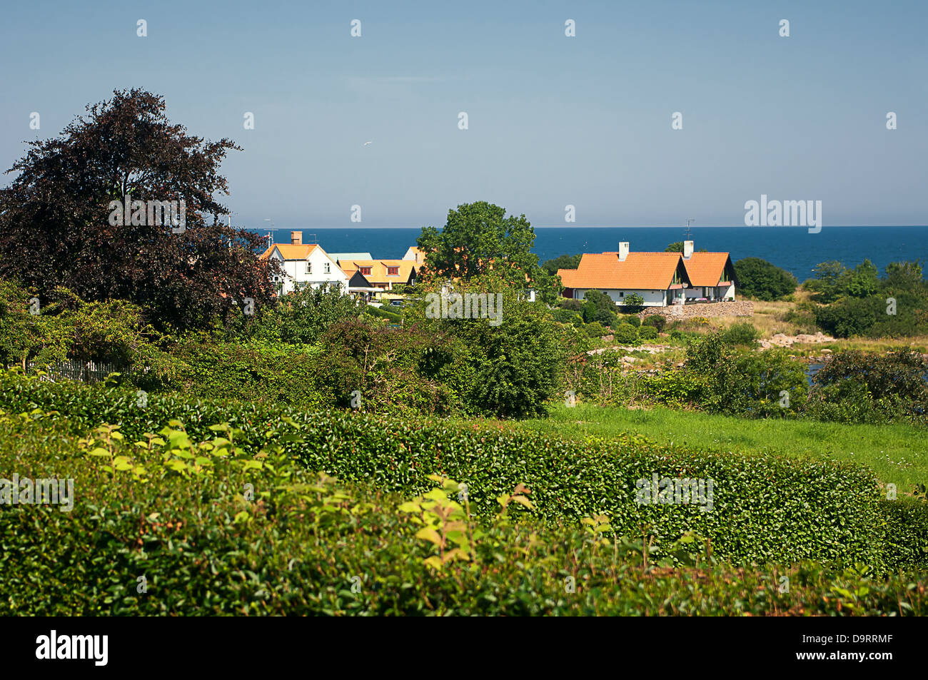 Houses by the sea on the island of Bornholm Stock Photo Alamy