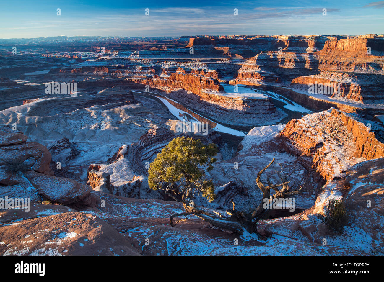 the Colorado Valley from Dead Horse Point at dawn, Utah, USA Stock Photo