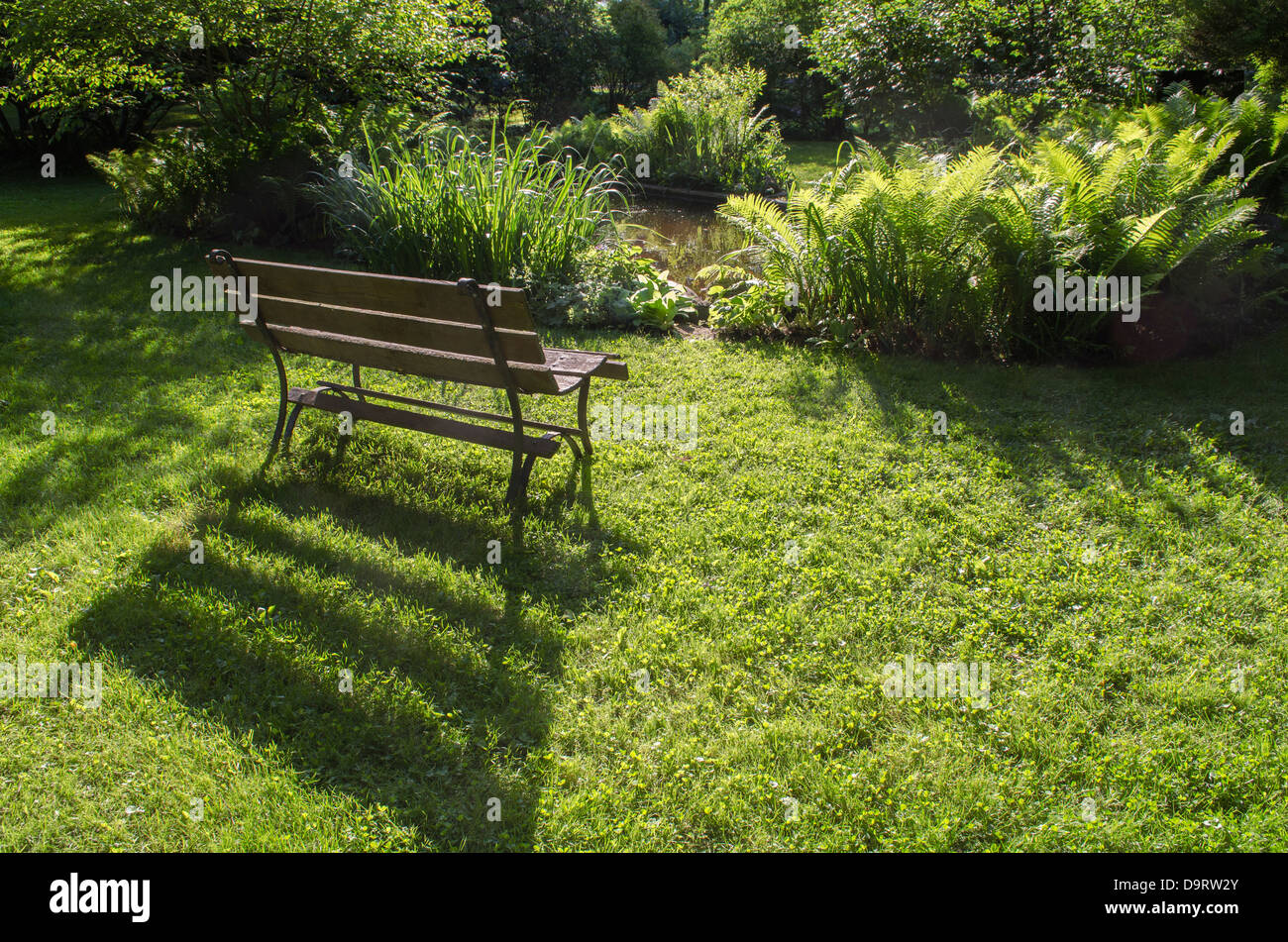 wood bench in front of lush foliage Stock Photo